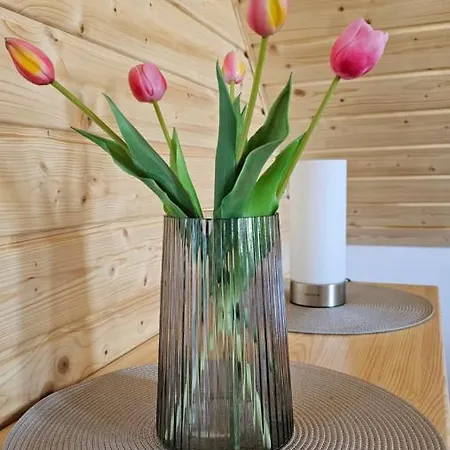 Pod Sosnami Сasa de vacaciones